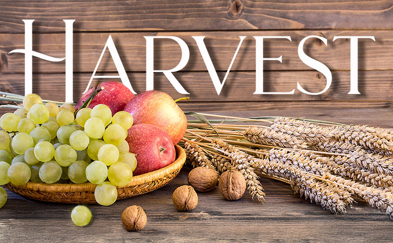 Fall harvest close up colorful frame or banner. Thanksgiving or autumn background with place or spase for text.