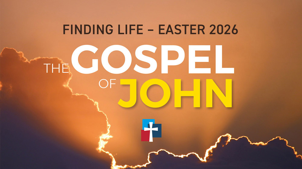 Mothers day holiday banner. Spring floral vector illustration. Greeting realistic cherry flowers card template, luxury flower background, international mother day concept flyer, modern party design